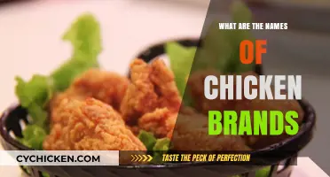 Top Chicken Brands: A Guide to Popular Poultry Producers