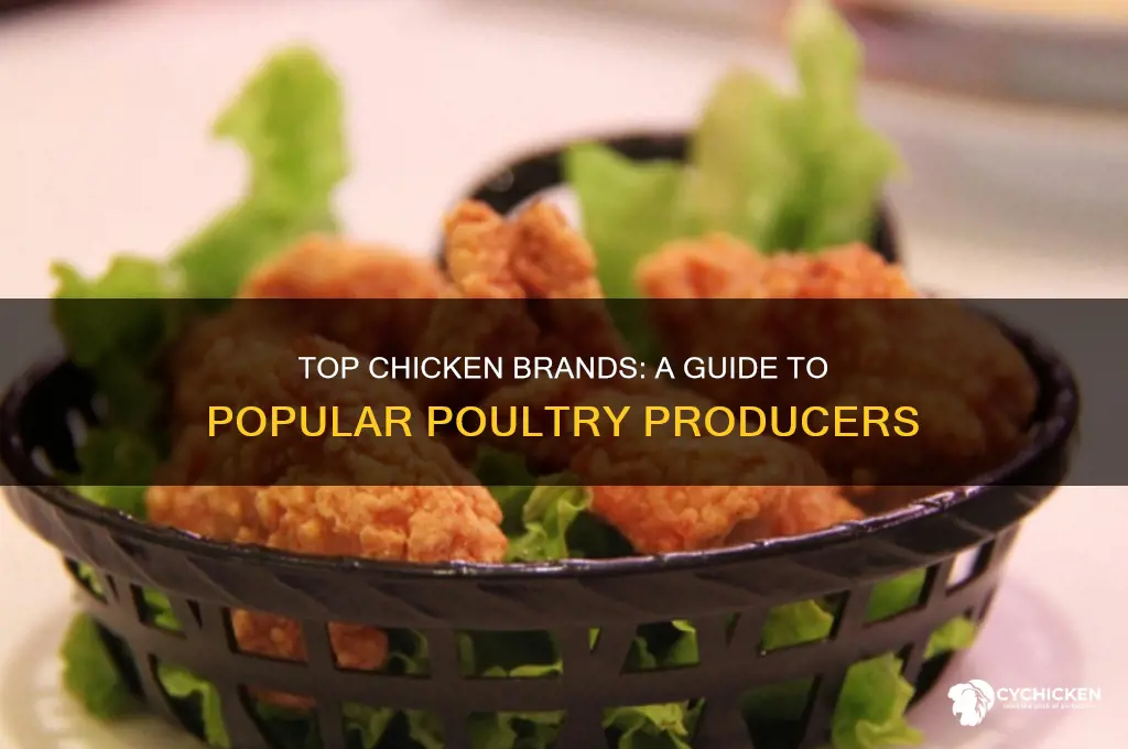 what are the names of chicken brands