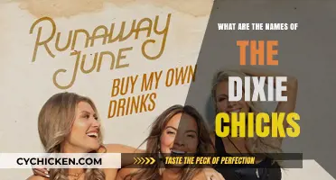 Discovering the Dixie Chicks: Unveiling the Names Behind the Iconic Trio