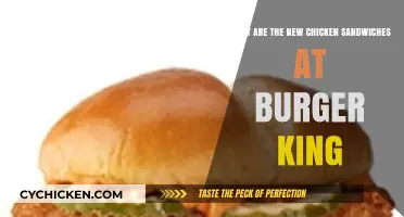 Burger King's New Chicken Sandwiches: A Tasty Review and Guide