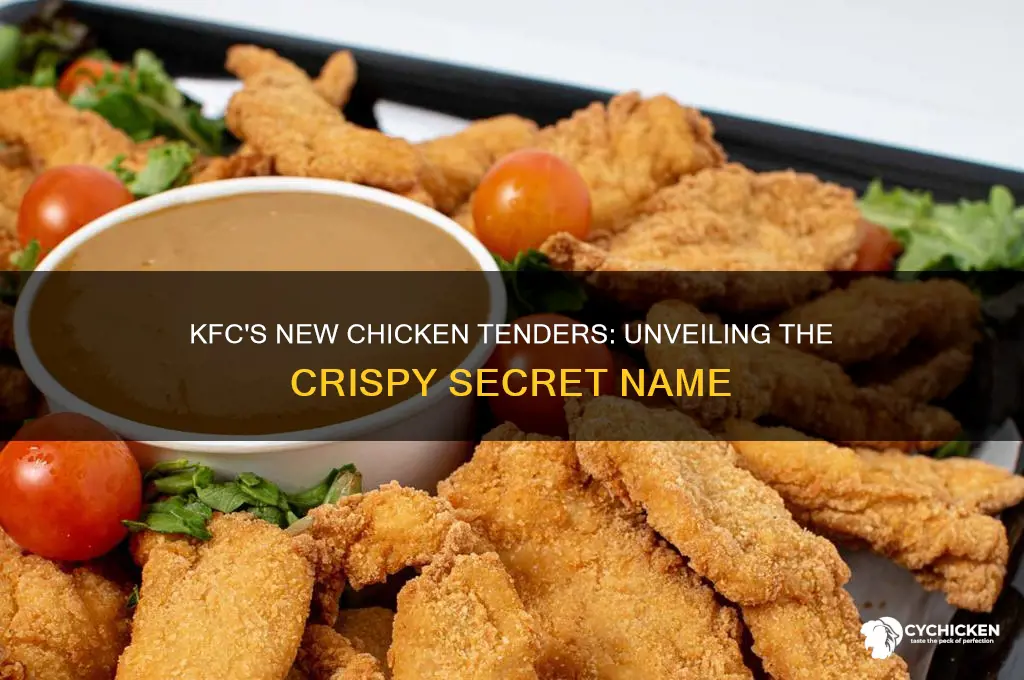 what are the new kfc chicken tenders called