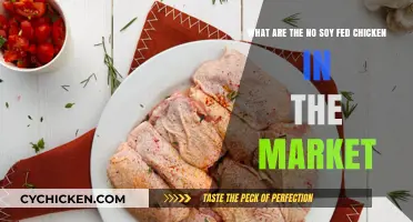 Soy-Free Chicken: Exploring Market Alternatives