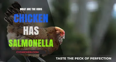 Understanding Salmonella Risks: How Likely Is It in Chicken?