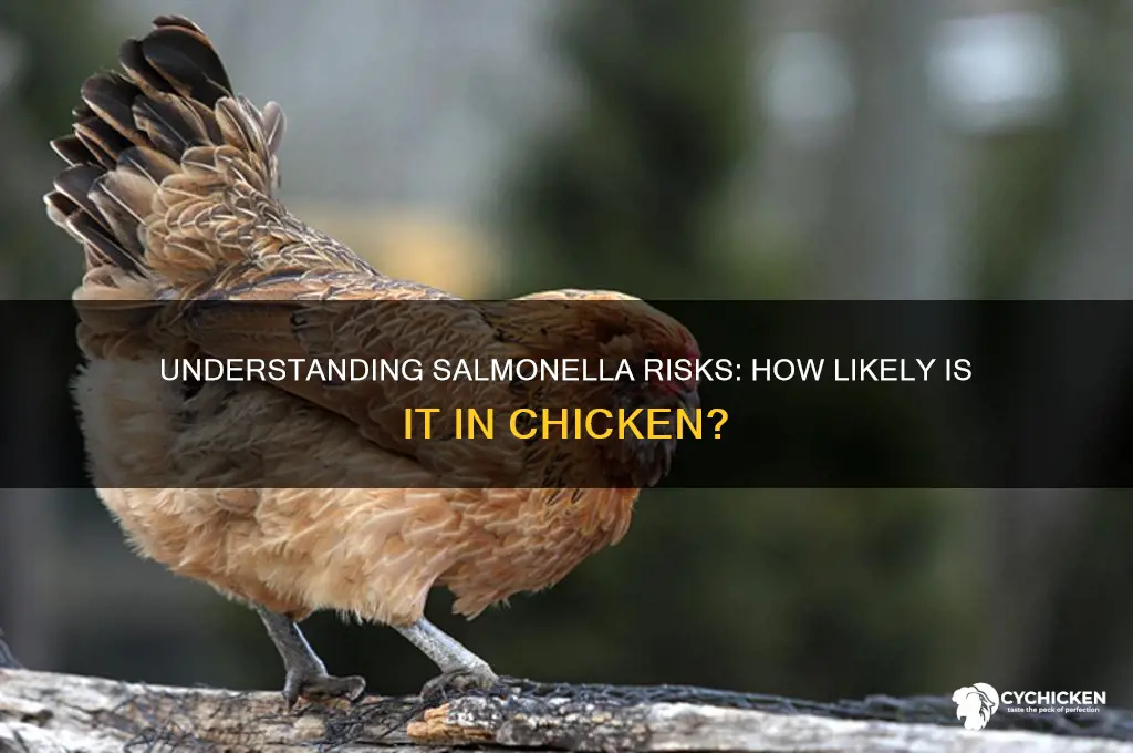 what are the odds chicken has salmonella