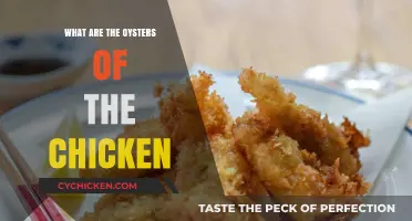 Unveiling the Mystery: What Are the Oysters of the Chicken?