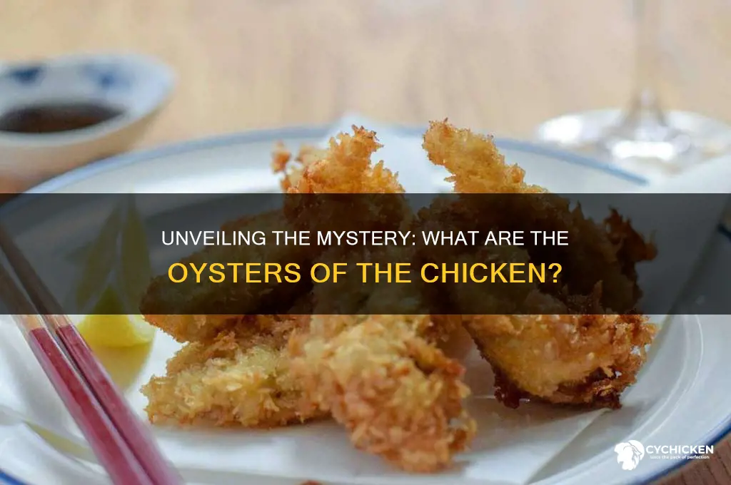 what are the oysters of the chicken