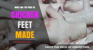 Understanding the Composition of Chicken Feet Pads: A Detailed Exploration