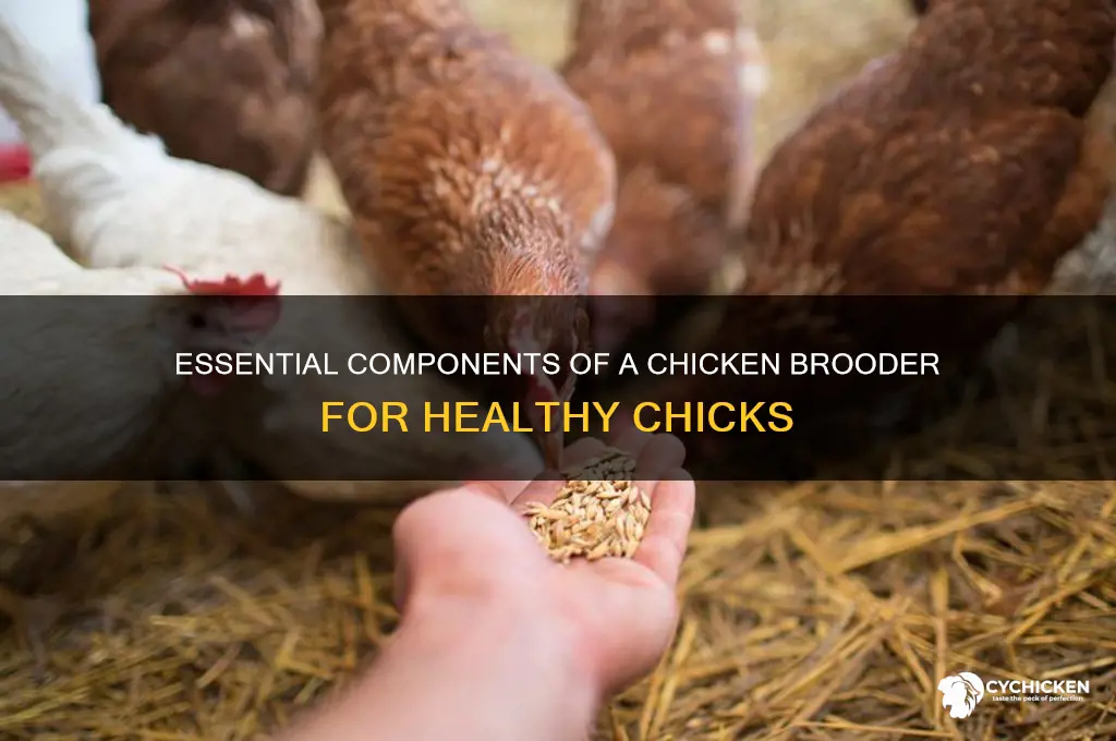 what are the parts of a chicken brooder