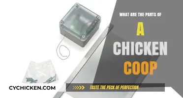 Essential Components of a Chicken Coop: A Comprehensive Guide