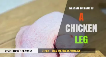 Understanding the Anatomy: Exploring the Components of a Chicken Leg