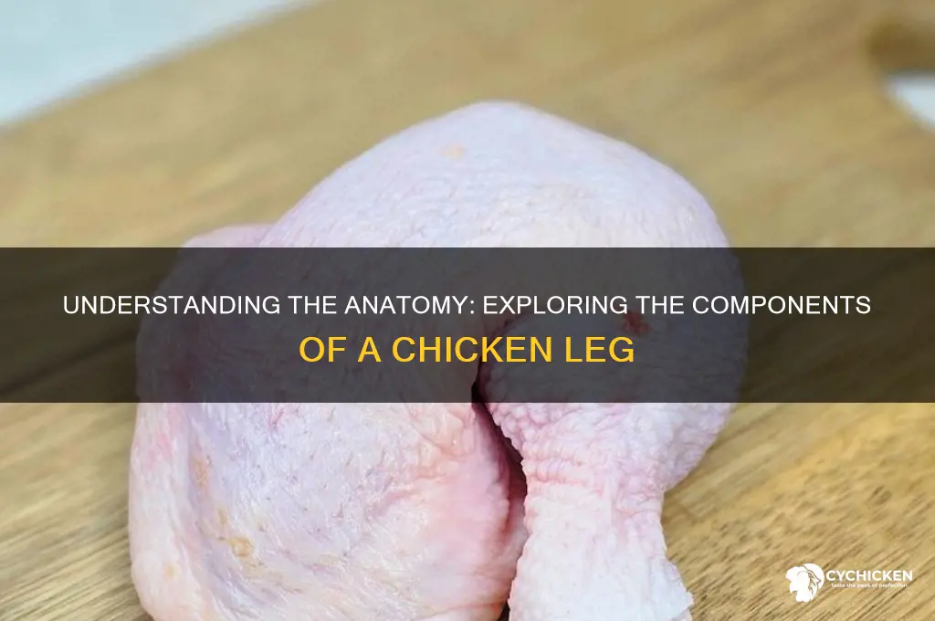 what are the parts of a chicken leg