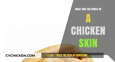 Understanding Chicken Skin: Layers, Functions, and Culinary Uses Explained