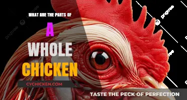 Exploring the Anatomy of a Whole Chicken: A Comprehensive Guide
