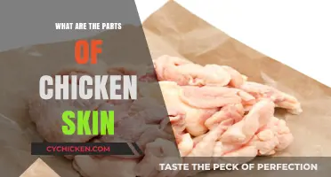 Understanding Chicken Skin: Layers, Texture, and Function Explained