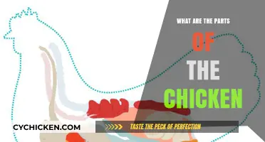 Understanding the Chicken: A Breakdown of Its Essential Parts and Functions