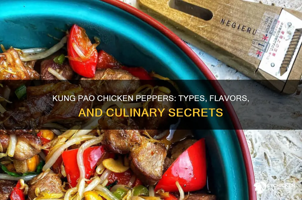 what are the peppers in kung pao chicken