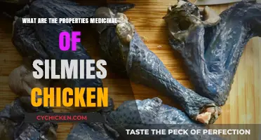 Exploring the Healing Properties of Silkie Chicken in Medicine
