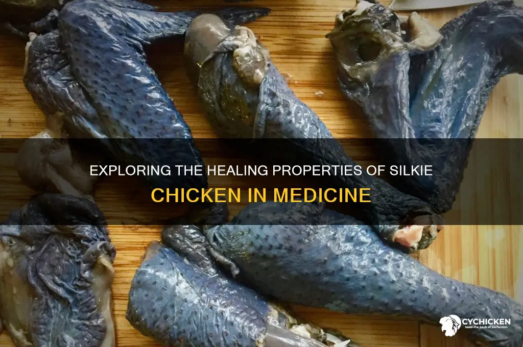 what are the properties medicinal of silmies chicken