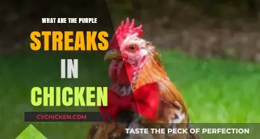 Understanding Purple Streaks in Chicken: Causes, Safety, and Culinary Insights