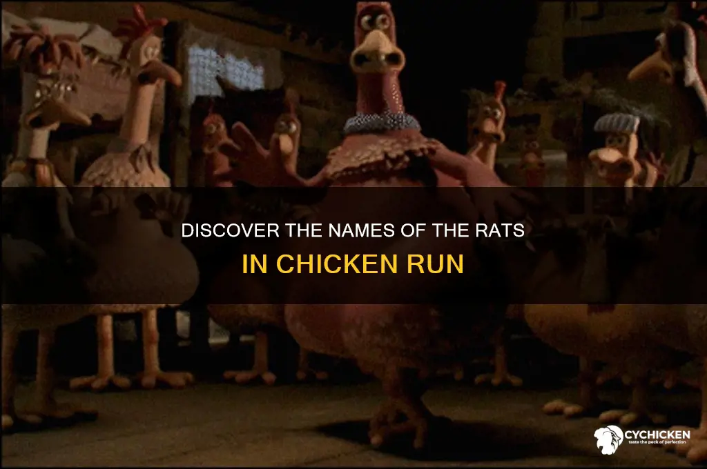 what are the rats names in chicken run