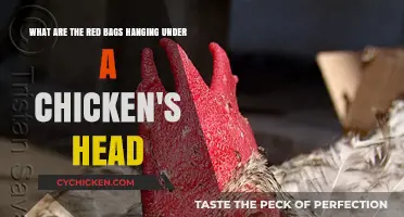 Why Do Chickens Wear Red Bags?