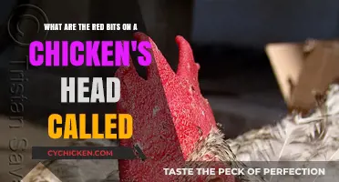 The Red Crests: What Are They?