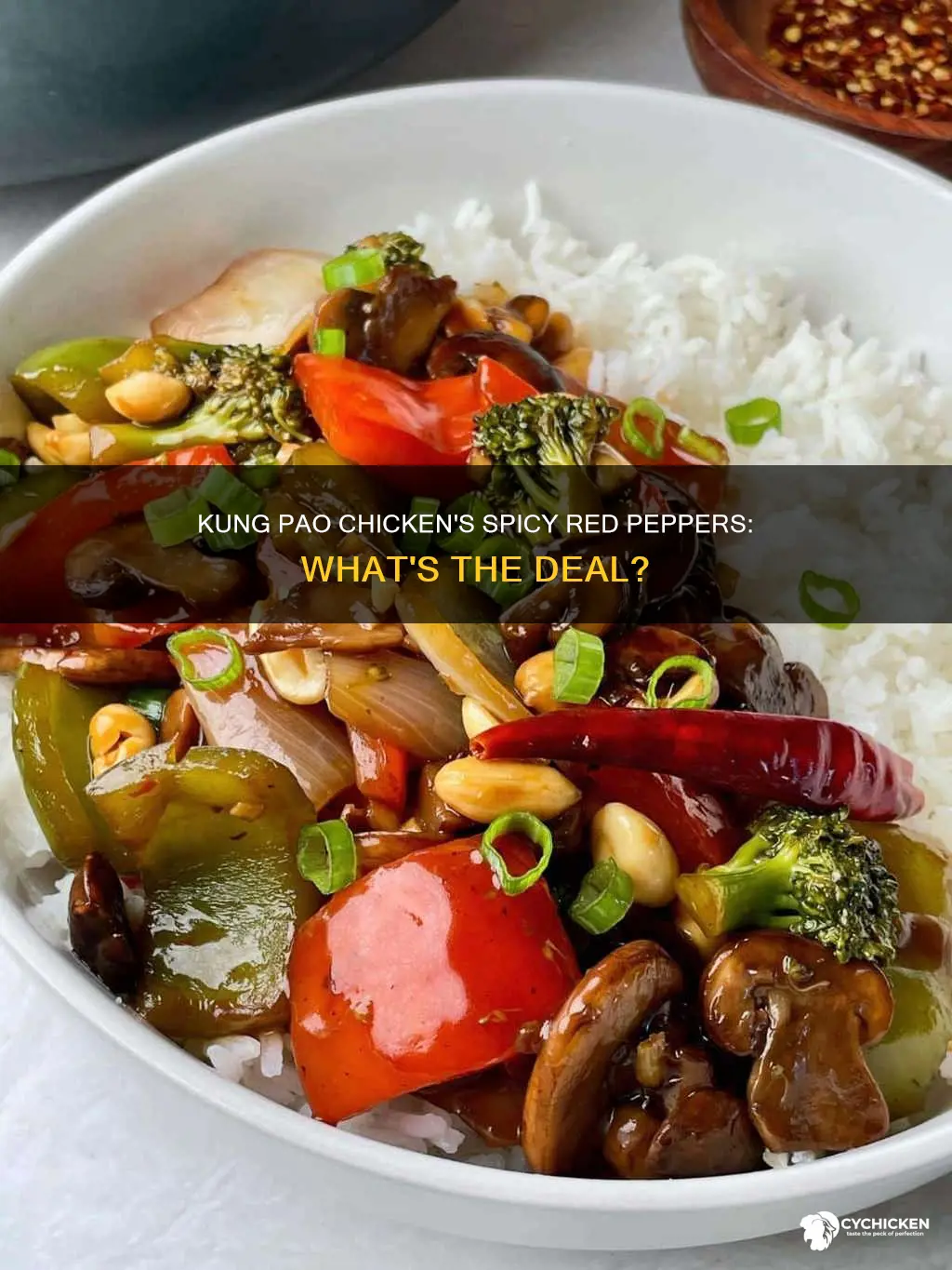 what are the red peppers in kung pao chicken