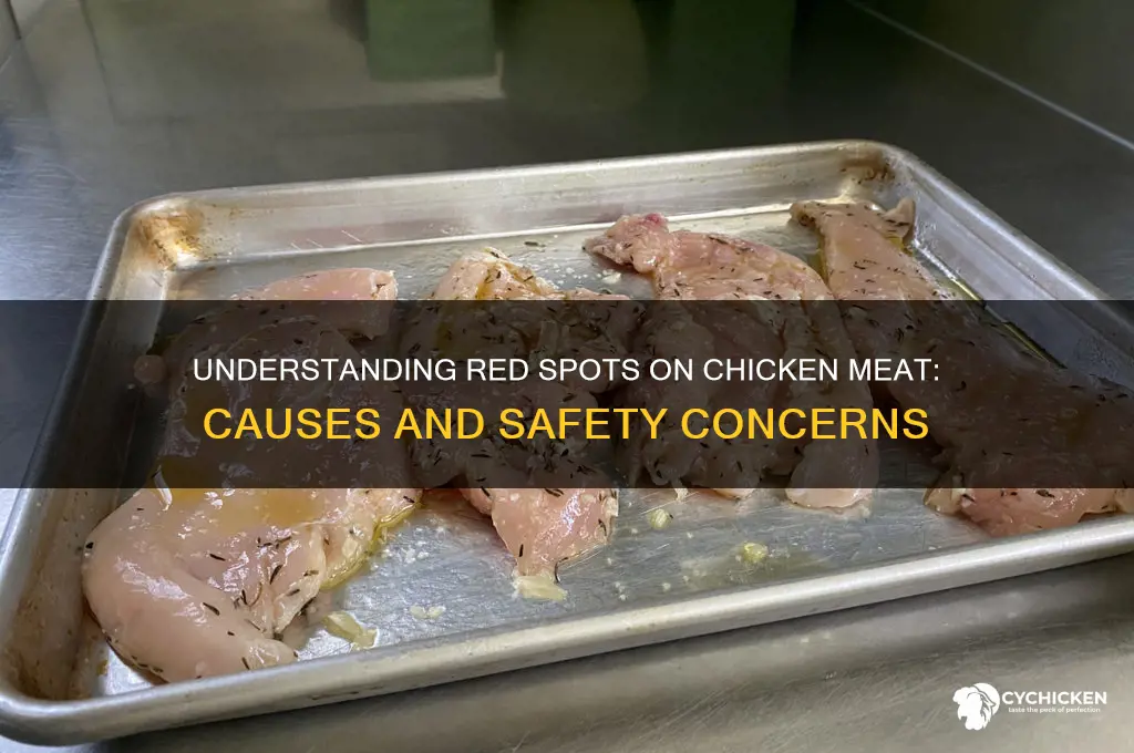 what are the red spots on chicken meat