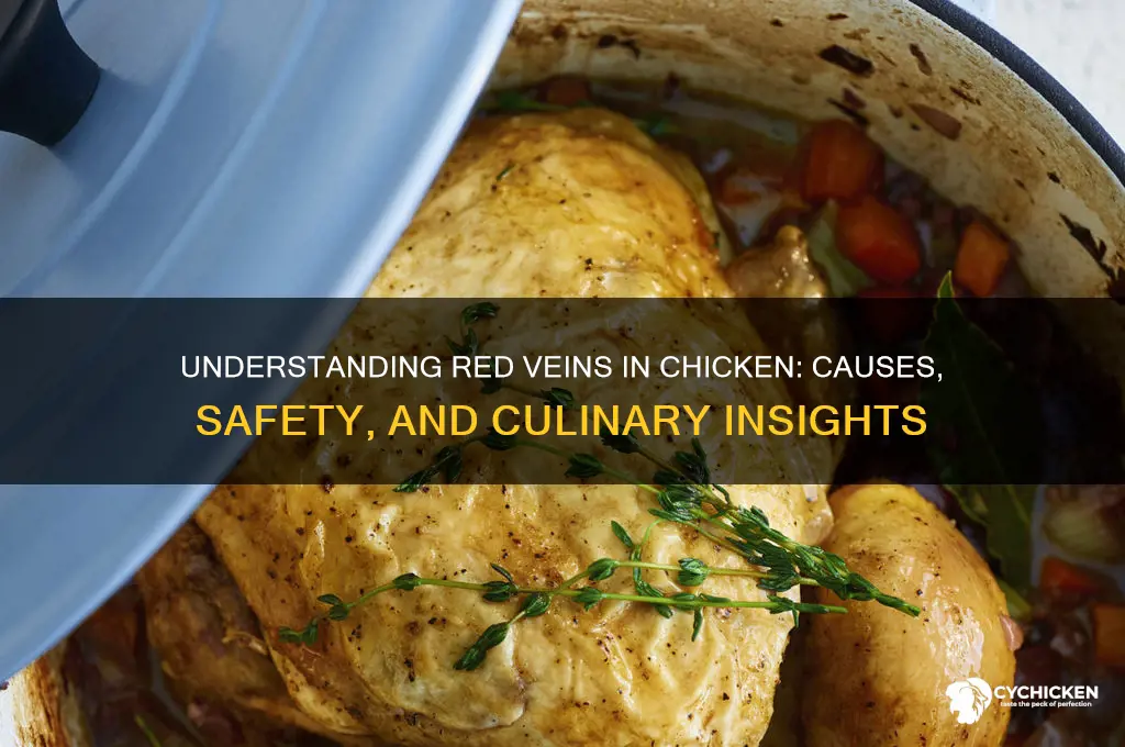 what are the red veins in chicken