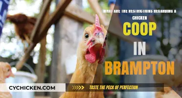 Backyard Chicken Coop Regulations in Brampton: A Comprehensive Guide