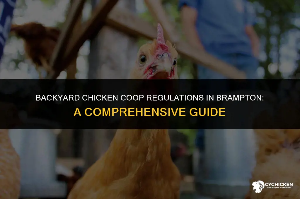 what are the restrictions regarding a chicken coop in brampton
