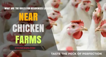 Chicken Farms: Rules for Nearby Residences