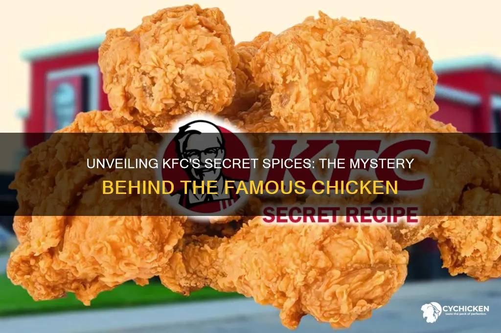 what are the secret spices in kfc chicken