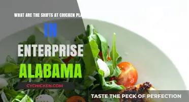 Chicken Plant Shifts in Enterprise, Alabama: What You Need to Know
