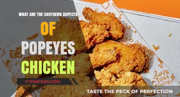 Exploring the Southern Flavors and Traditions of Popeyes Chicken