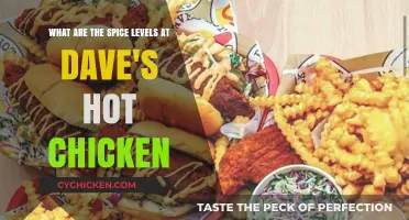 Hot Chicken, Hotter Spices: Dave's Spice Odyssey