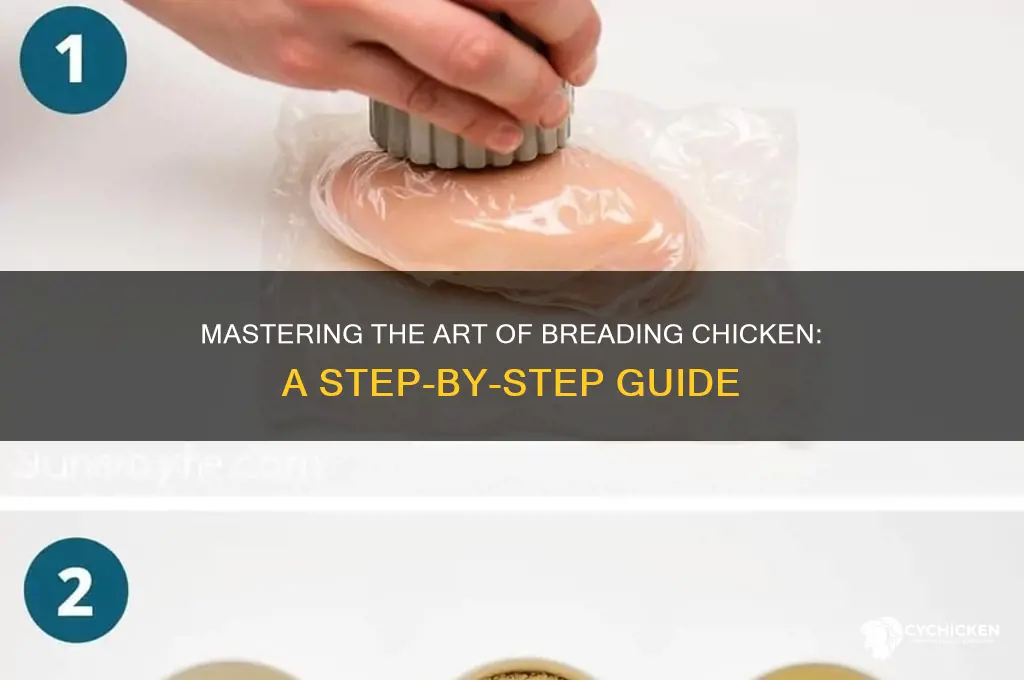 what are the steps of breading chicken