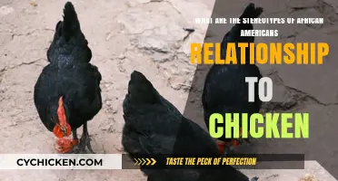 Stereotypes of Black People Loving Fried Chicken Debunked