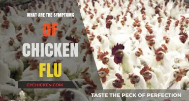 Recognizing Chicken Flu Symptoms: Early Signs and Health Alerts