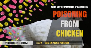 Chicken Salmonella: Recognizing Symptoms of Poisoning