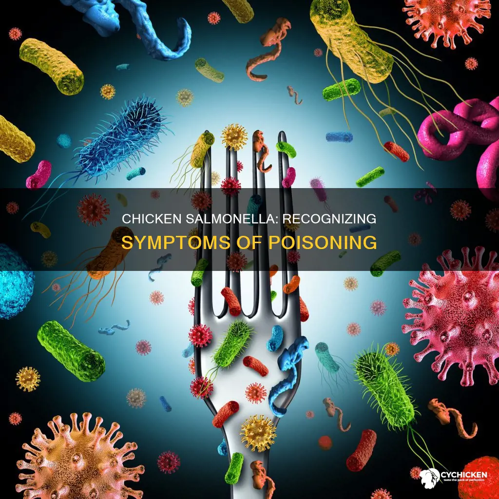 what are the symptoms of salmonella poisoning from chicken