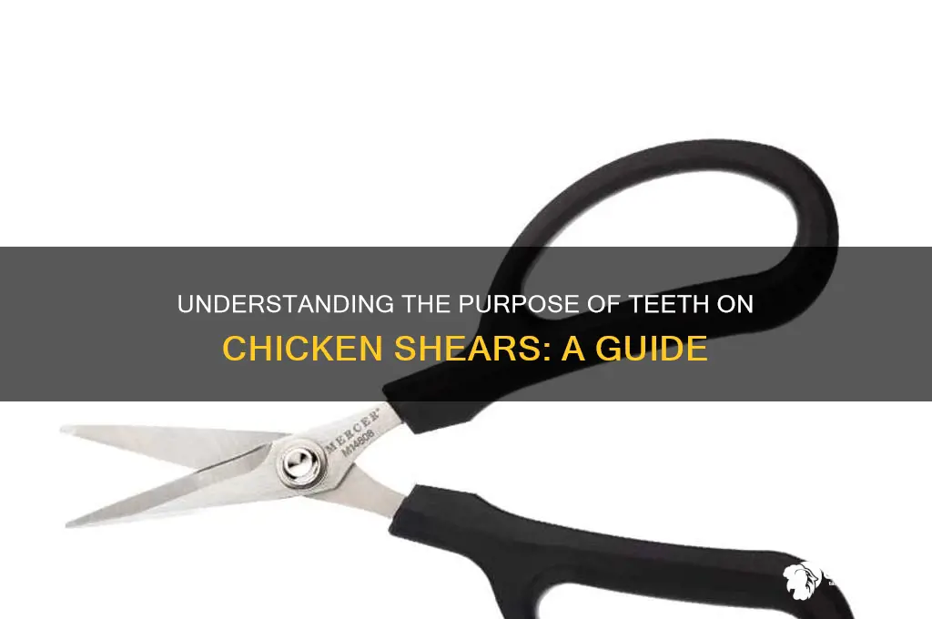what are the teeth for on chicken sheers