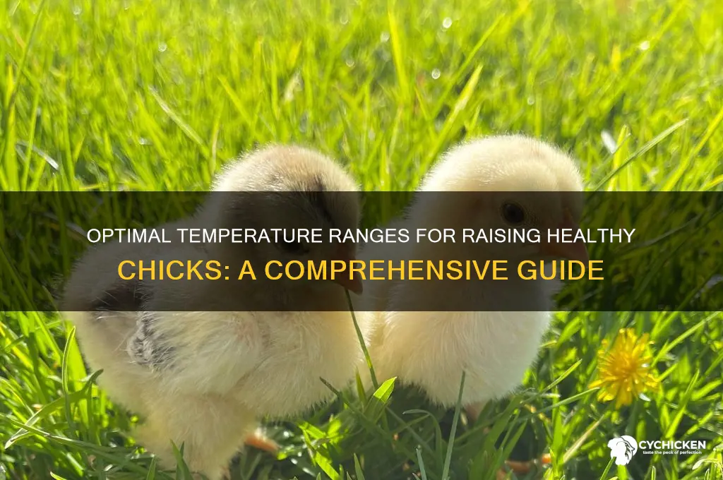 what are the temperature ranges for a chick