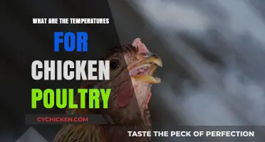 Optimal Temperature Ranges for Healthy Chicken Poultry Farming Success
