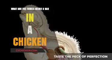 Chicken Bag Essentials: What's Inside and Why
