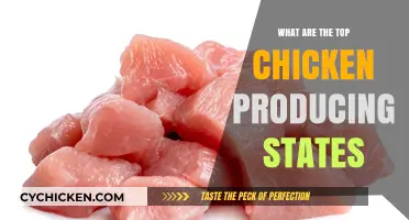 Leading U.S. Chicken Producers: Top States Dominating Poultry Production