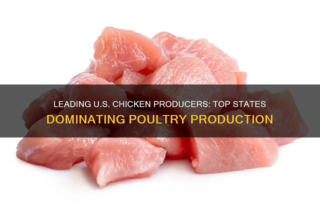 what are the top chicken producing states