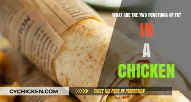 Fat's Dual Role in Chicken Nutrition