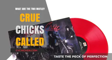Meet the Two Iconic Motley Crue Chicks: Their Names Revealed