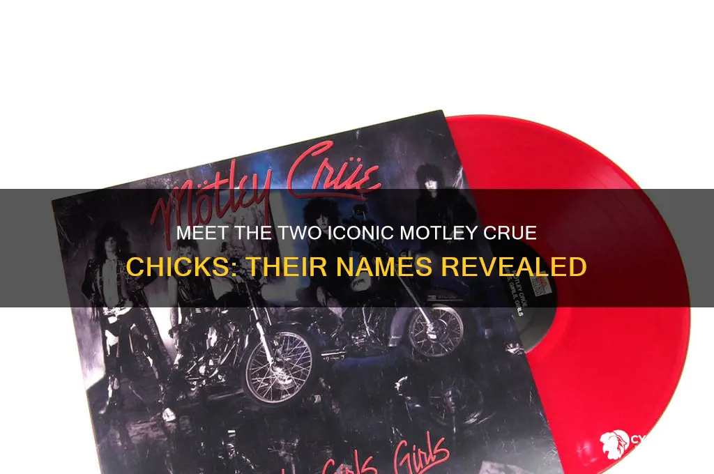 what are the two motley crue chicks called